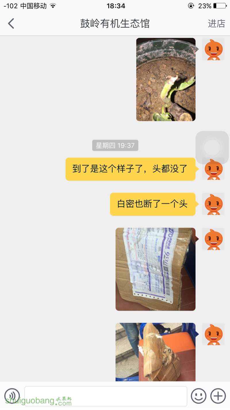 183526ykk6picio9662iif.jpg