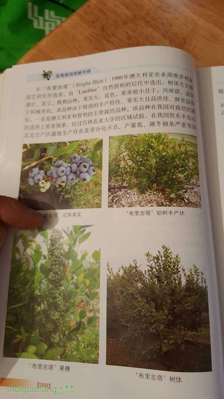 204545wlxojoo6n44klojm.jpg