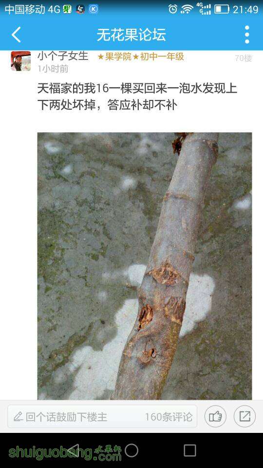 215350krp4c0p8x99ou829.jpeg