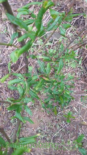 20160508_123024.jpg