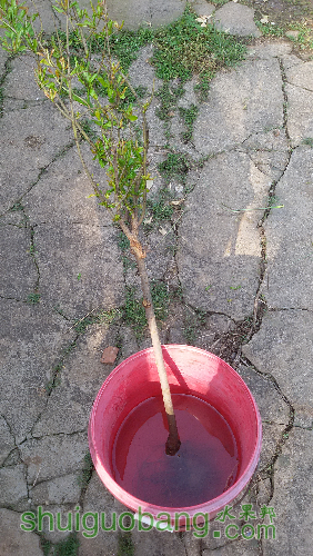 20160422_082358.jpg