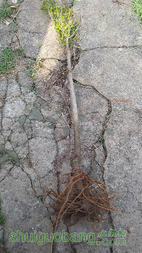 20160422_082324.jpg