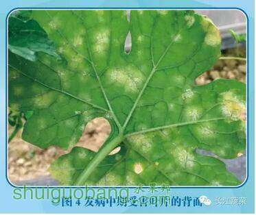 QQͼ20160509160911.jpg
