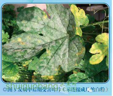 QQͼ20160509160931.jpg