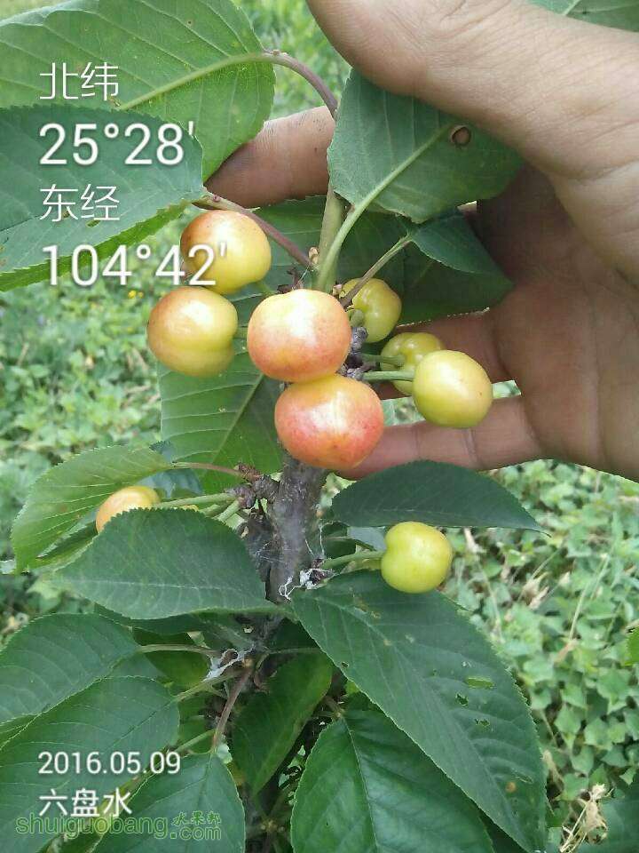 215151rim7m1ei81mzb88z.jpg