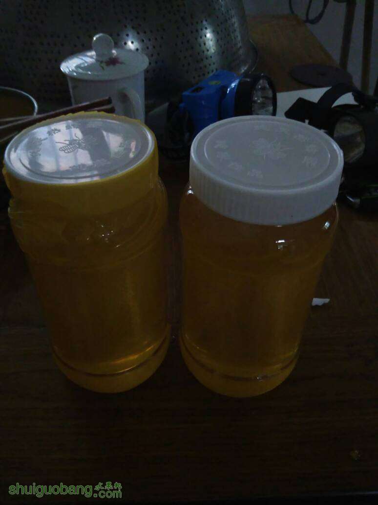 062045bprrzuubvo32so3o.jpg
