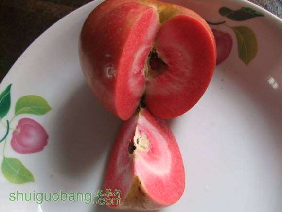 9��29�պ�ɫ֮�� 006.jpg