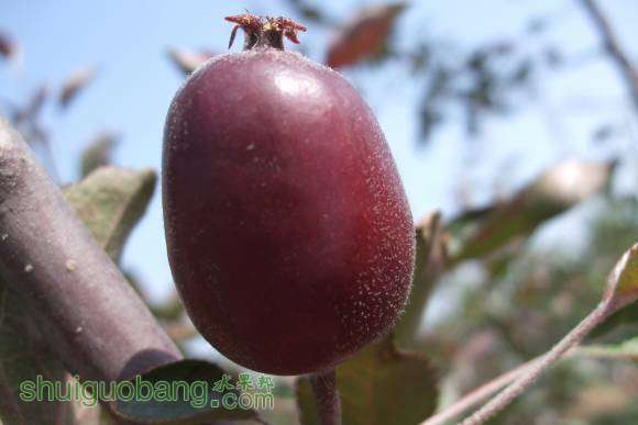 ����˹5��10�� 008.jpg