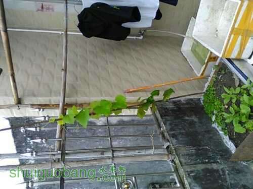 UC_Photo_001.jpg