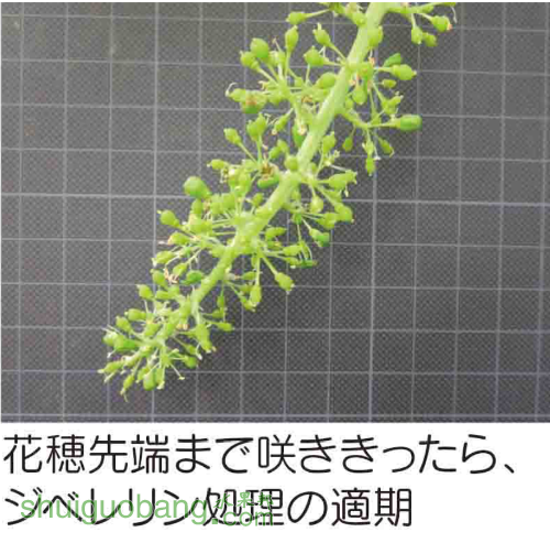*O_20160511_044751.png