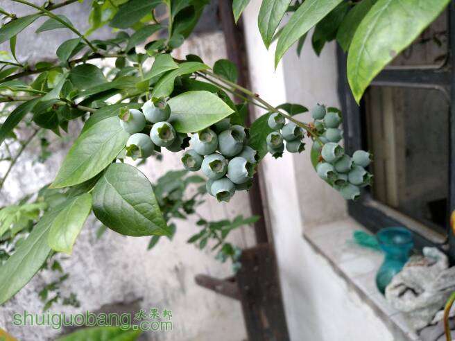 132703vumy6zenutu71111.jpg