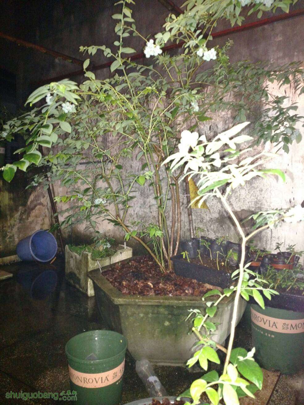132704qch535iskiths73z.jpg
