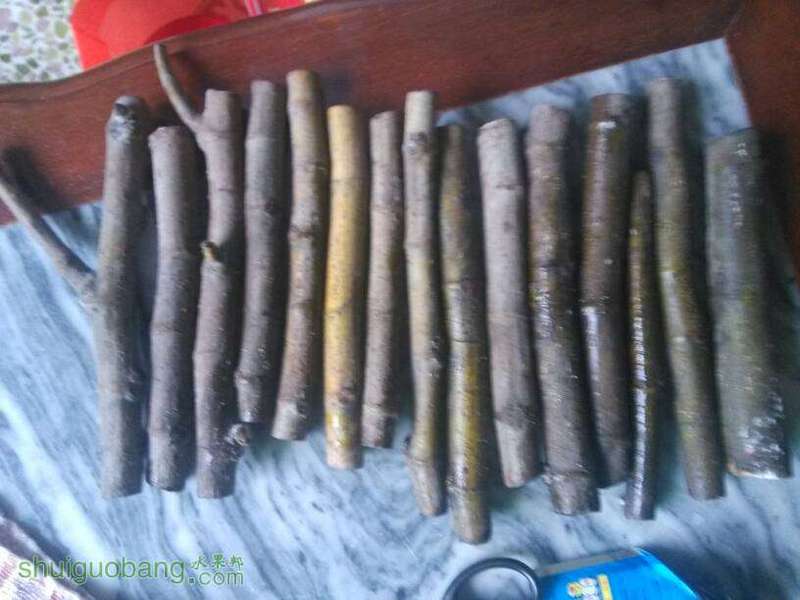 170124lw11q55n5o0hy05n.jpg