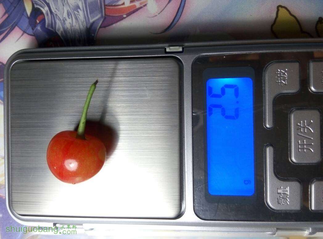 212121i77qbbii7b7asafi.jpg