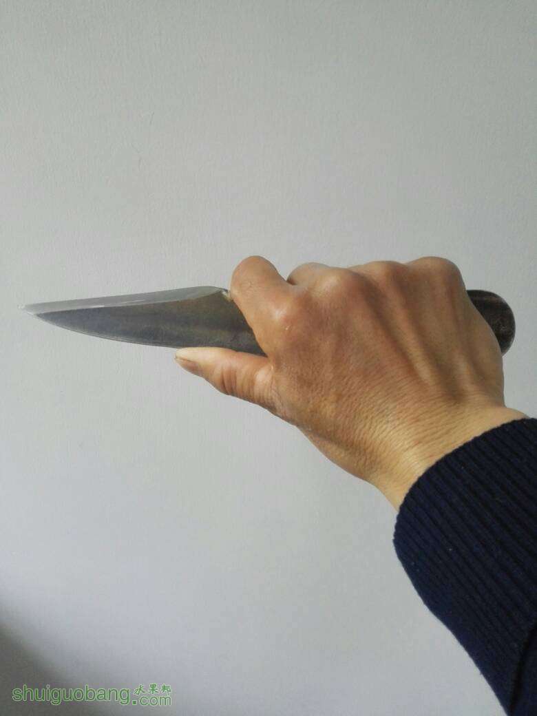 203612t5rzkruddzrvzlds.jpg