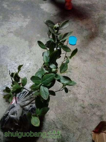 mmexport1462978329416.jpg