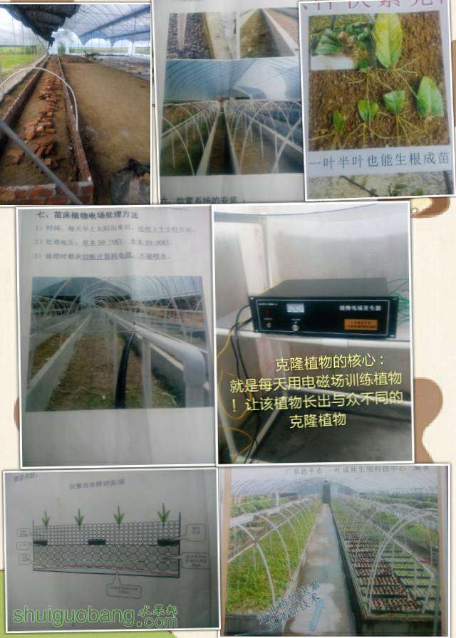 091613xy93lvve3ilssbfe.jpg