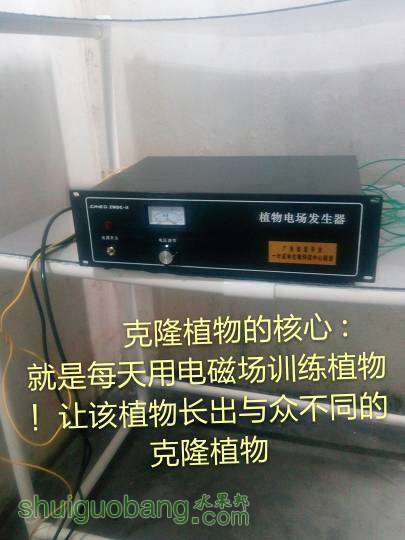 091614swuzyxr3y4bnxzuu.jpg