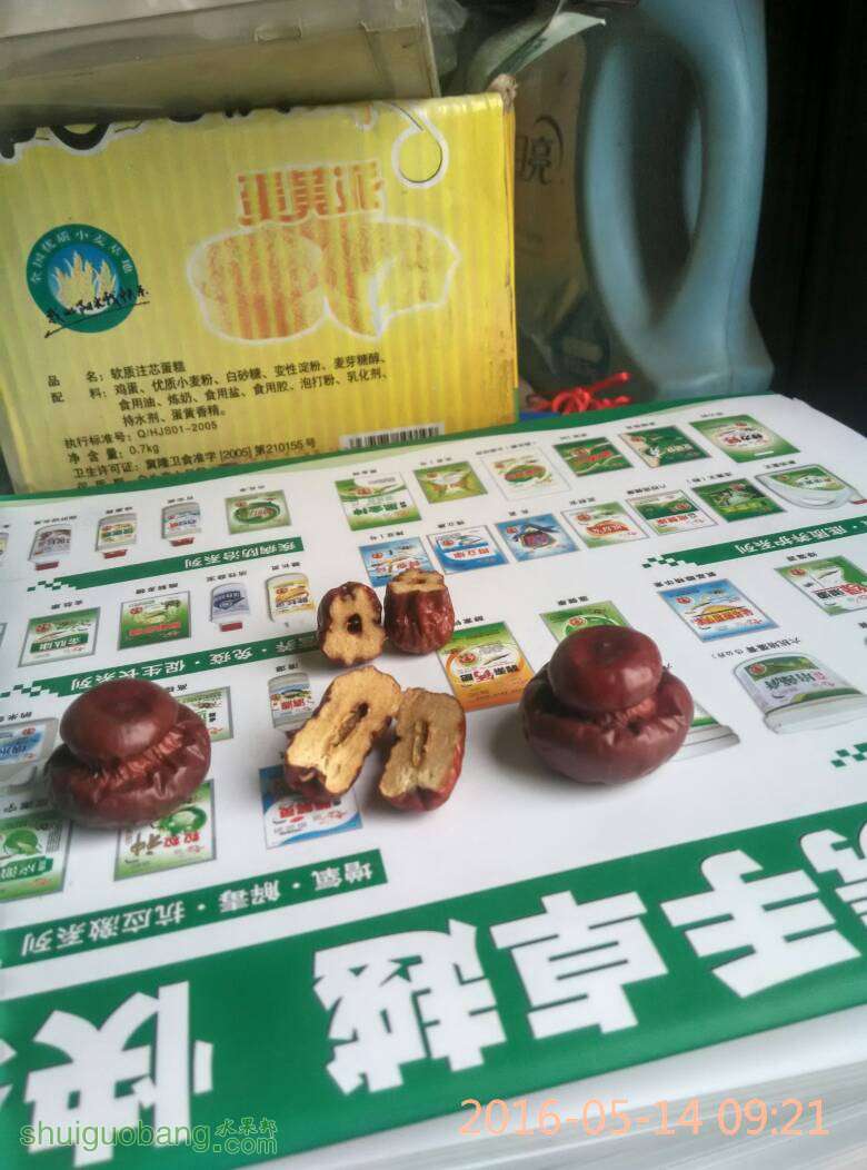 093620sho8b58wa5tkt9t9.jpg