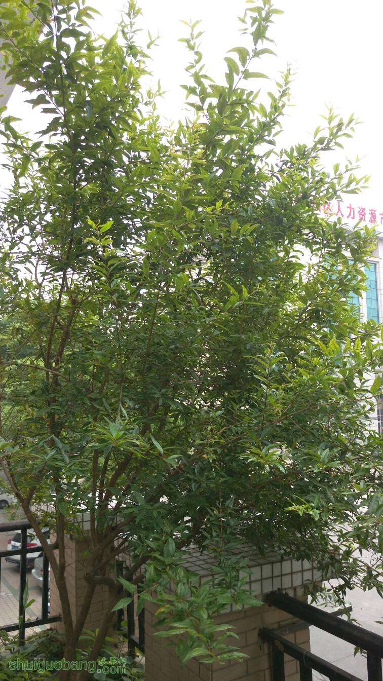 103026inibibhybpmjz2wm.jpg