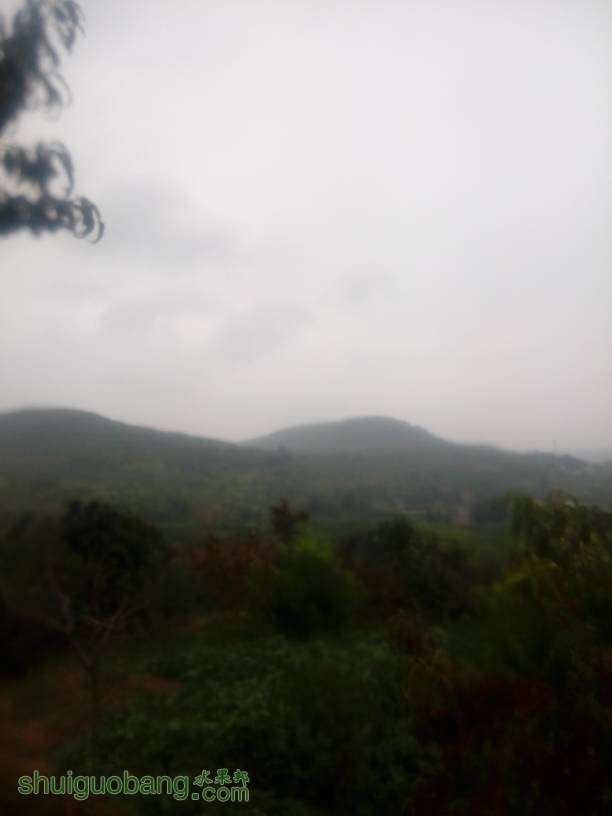194805p213r2230d66jduu.jpg