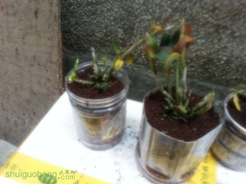 130513g9xy97l3zp9y4gpp.jpg