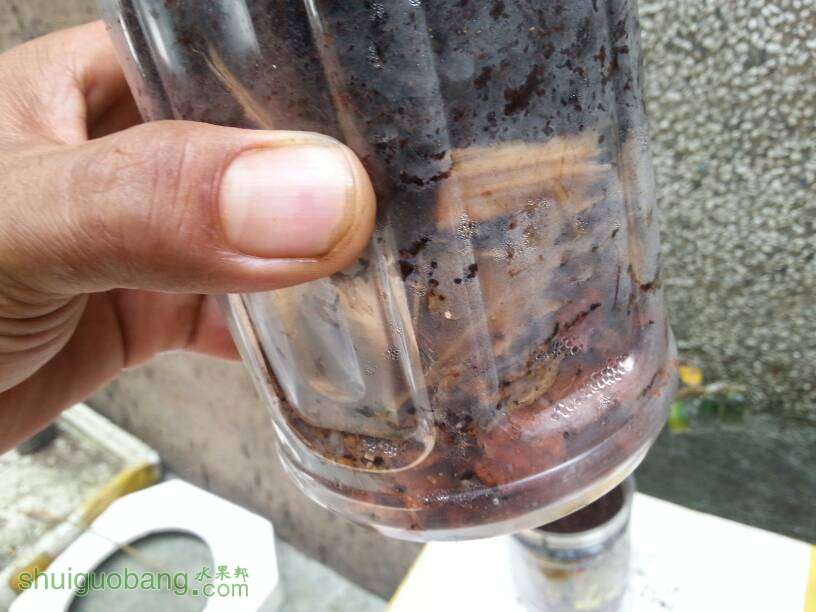 130513v1xd9wg9d9ndngry.jpg