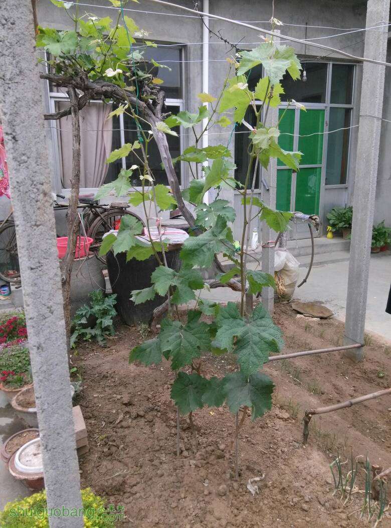 130531mt2qc283823ty431.jpg