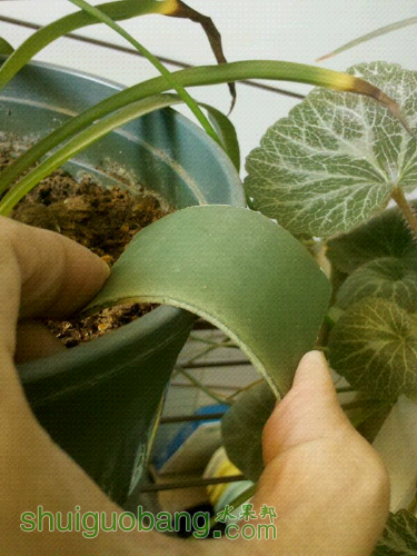 UC_Photo_002.jpg