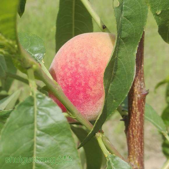 IMG_20160515_153301.jpg