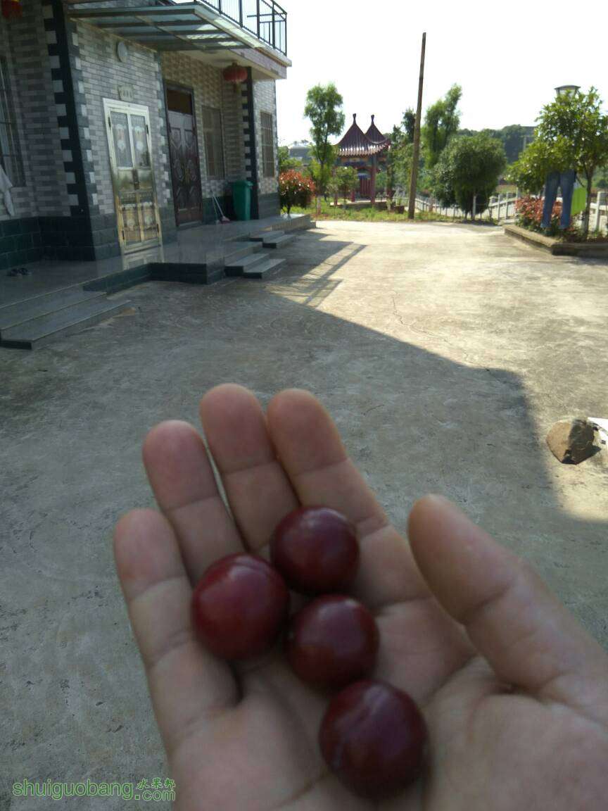 145542uayidqn0ano7az07.jpg