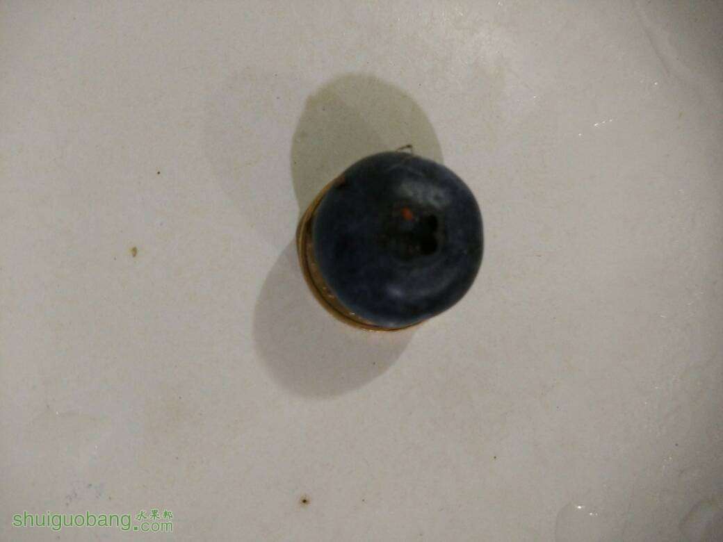 194549k7ylu17sjlogclok.jpg