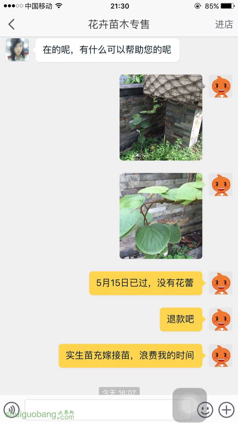 215641dhzej1llgazttuum.jpg