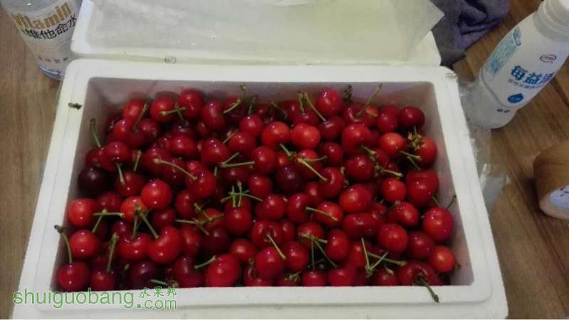 060030pi3q9bwbqdc38img.jpg