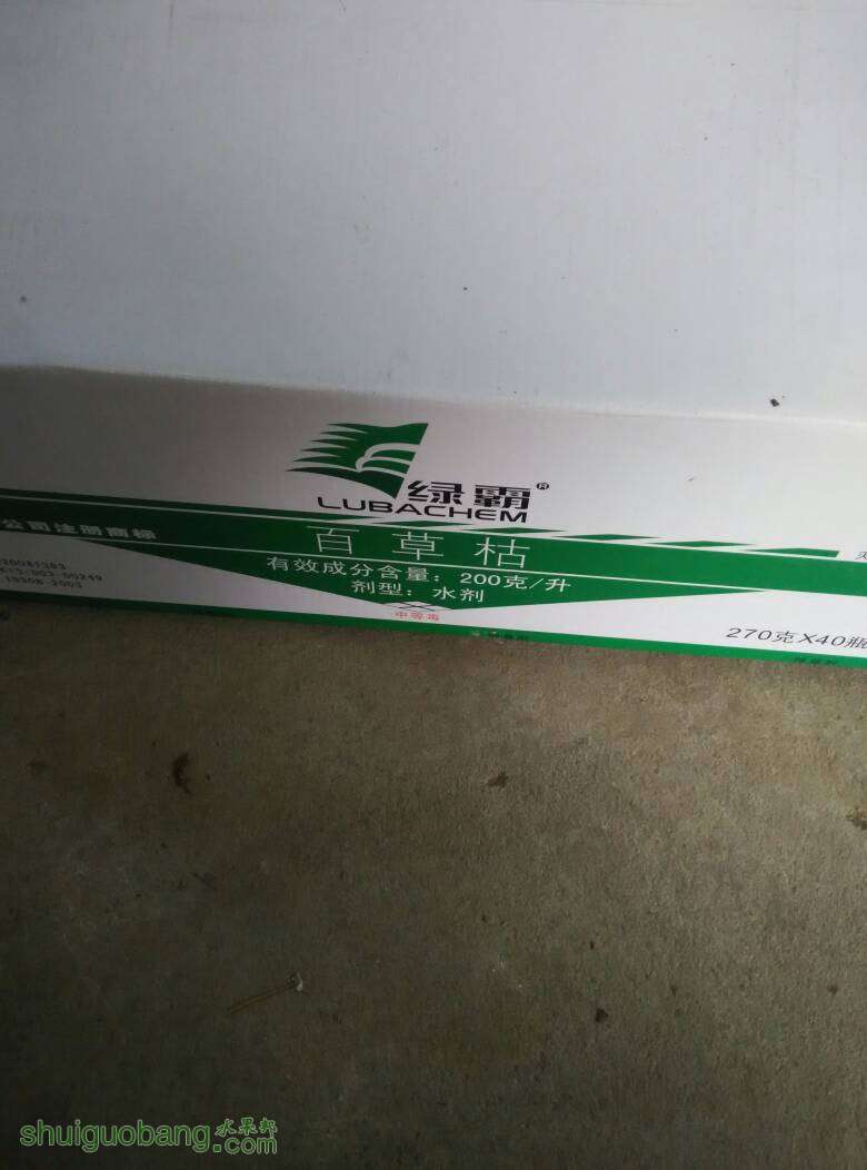070209sooeenypeubulluk.jpg