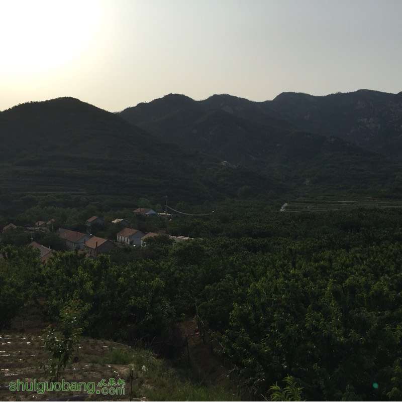 083005lkawguylr7kygqw2.jpg