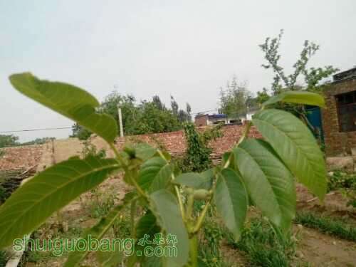 UC_Photo_011.jpg