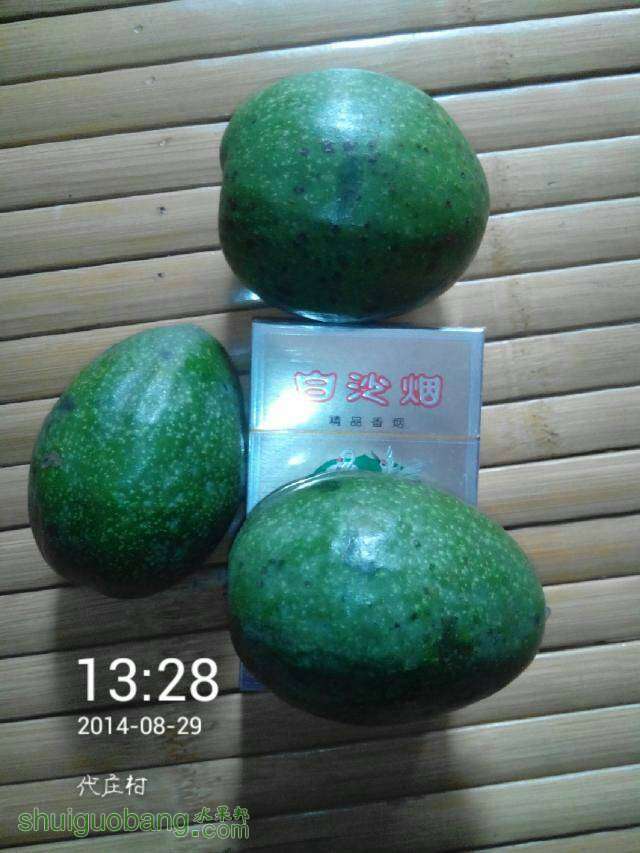095925q5dzs6s6ccweevrw.jpeg