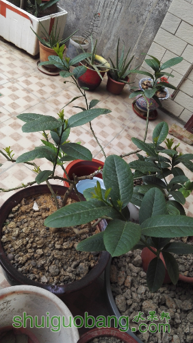 IMG_20160517_072141.jpg