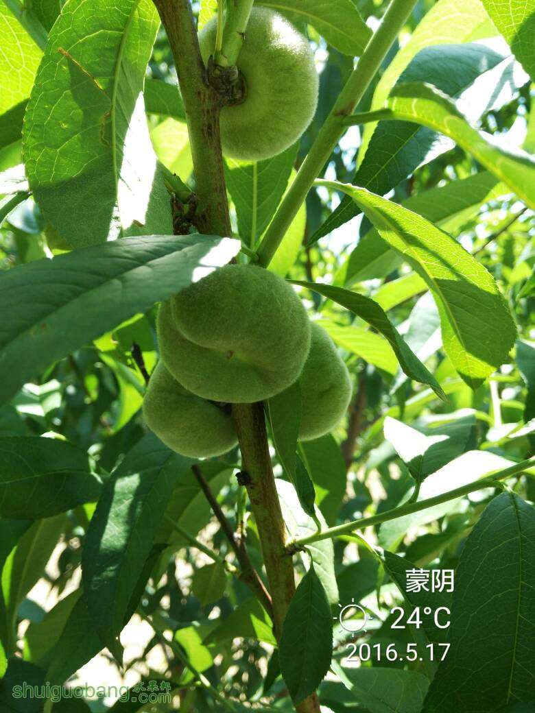 120543ruoqi9unbzl5nn90.jpg