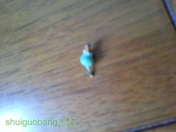 20160515_070445.jpg
