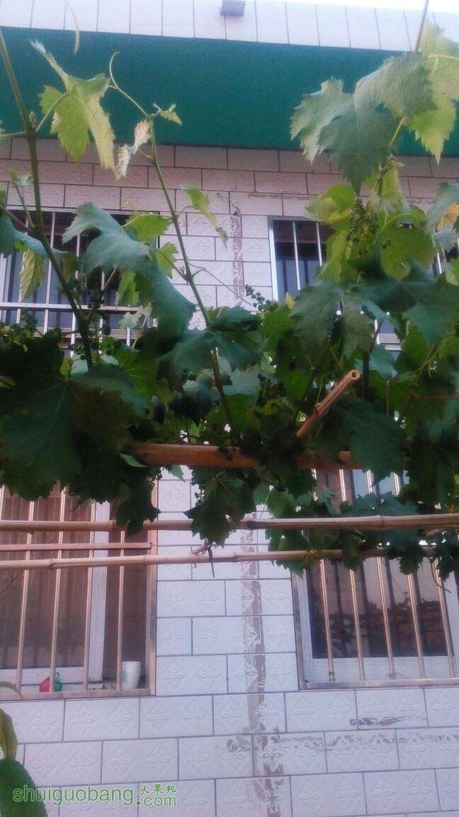 184052jkdgt3o3jdoykisz.jpg