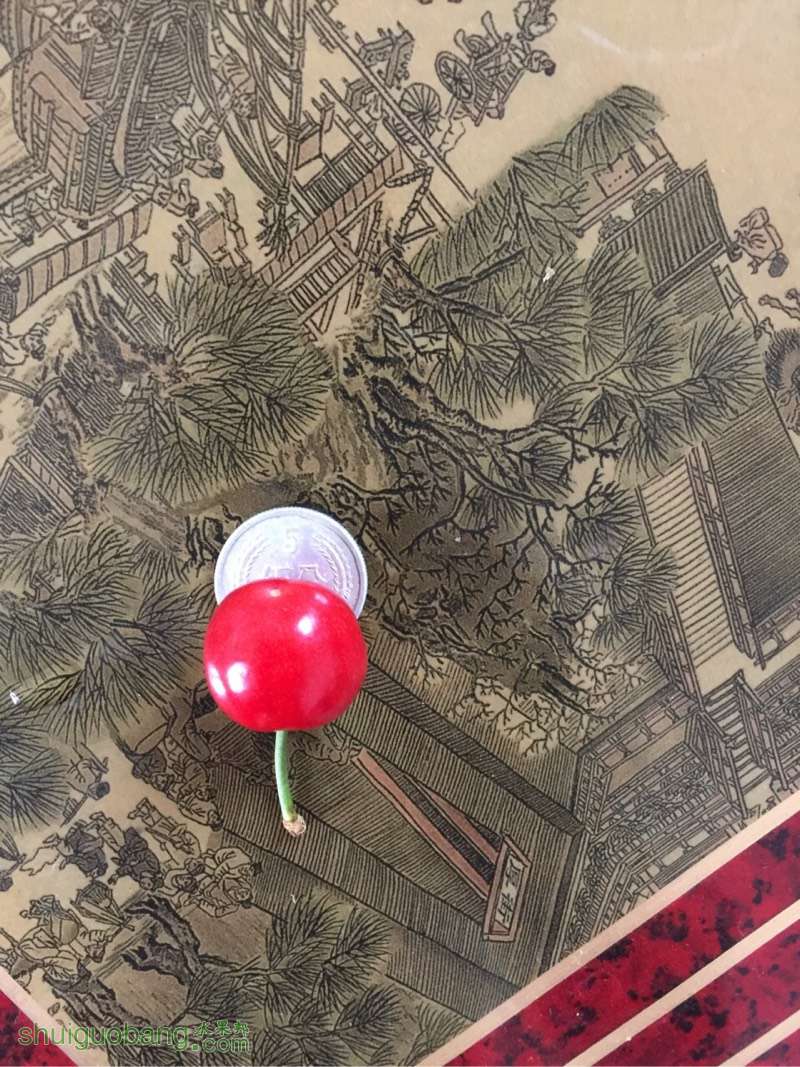 201941uqmfkqjamqj1g420.jpg