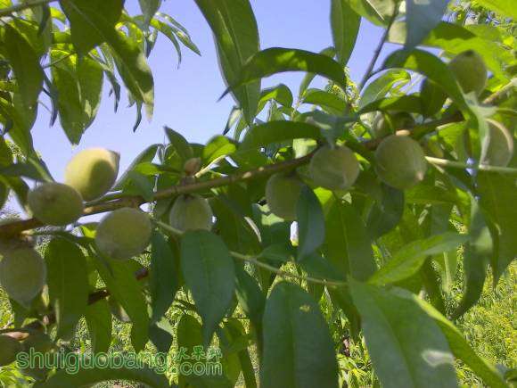 IMG_20160517_093406_HDR.jpg