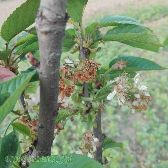 IMG_20160403_175813.jpg