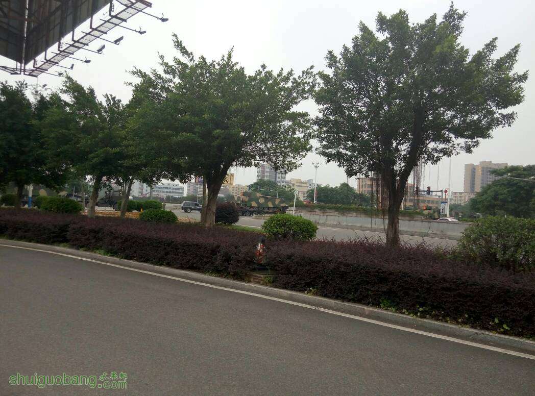 220710i7z78427o8sxu2b8.jpg