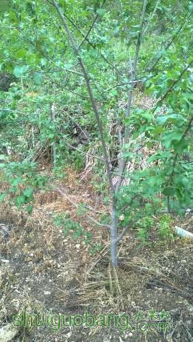 WP_20160519_17_13_28_Pro.jpg