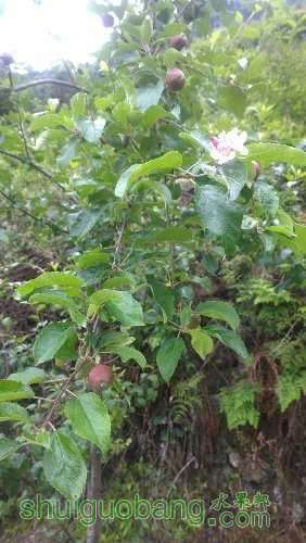 WP_20160519_17_21_52_Pro.jpg