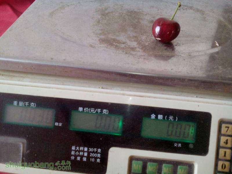 125130vrmr0gozfh0dzzrd.jpg