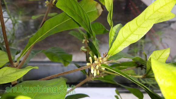20160520_153654.jpg
